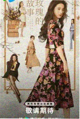 出轨的女人8免费观看正版电视剧 都市情感